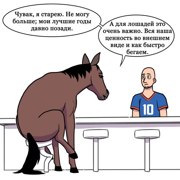 шутки про лошадей