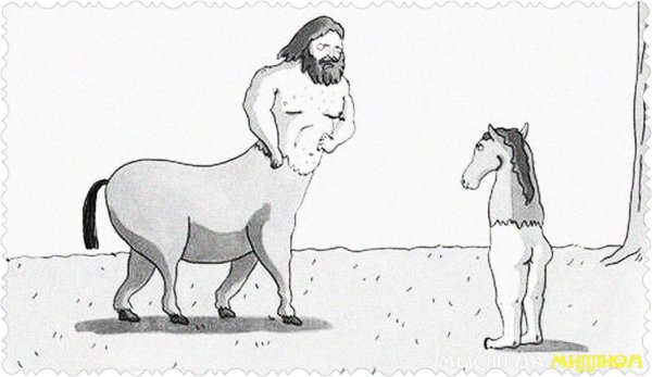 кентавр наоборот