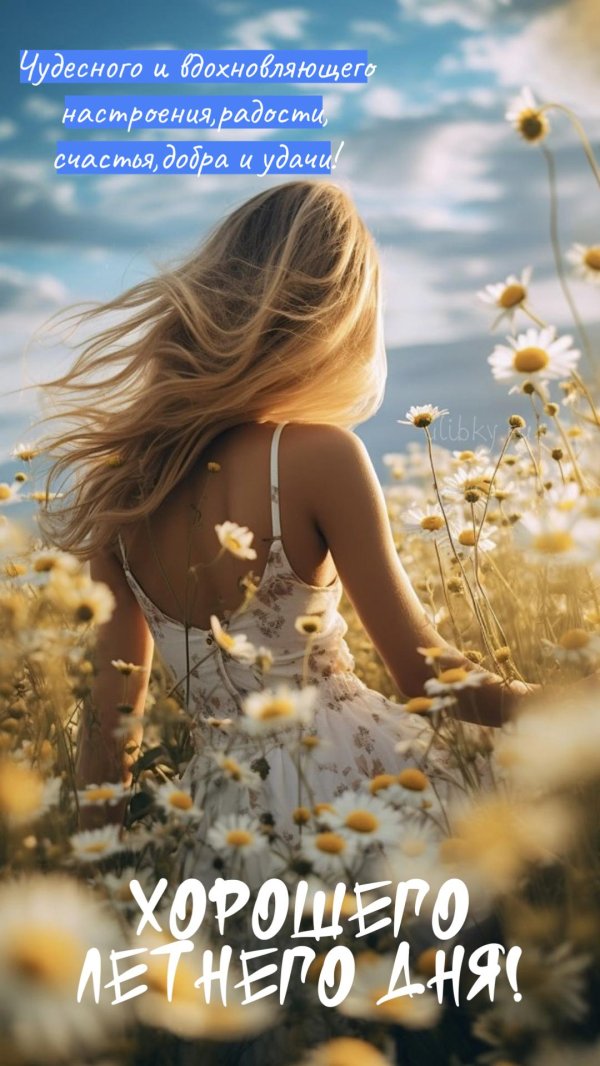 ромашковое лето
