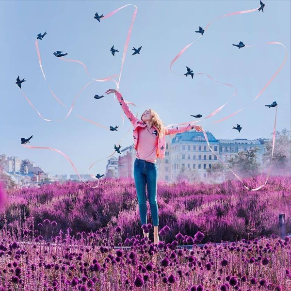 лавандовое поле