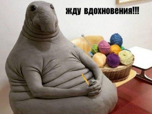 ждун вольдемар