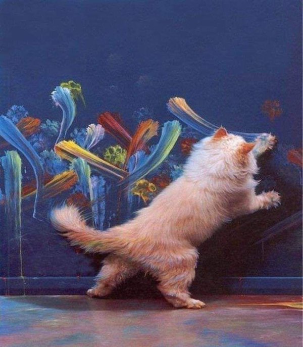 забавные картины