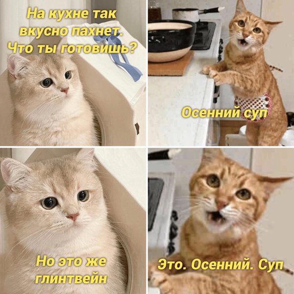 кот готовит