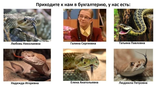 женский коллектив