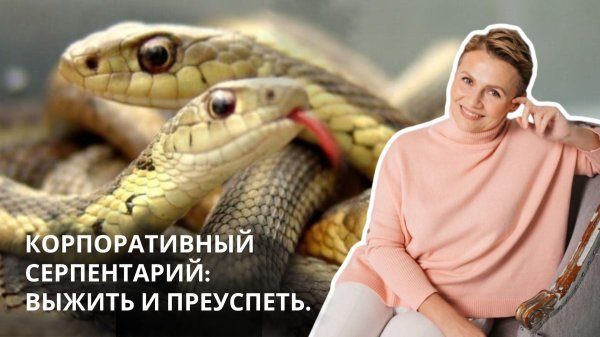 серпентарий гадюка обыкновенная