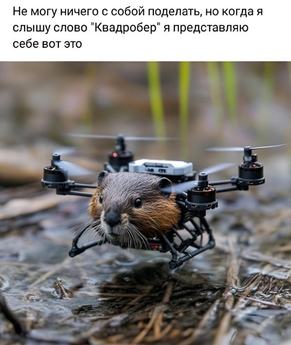 бобер животное