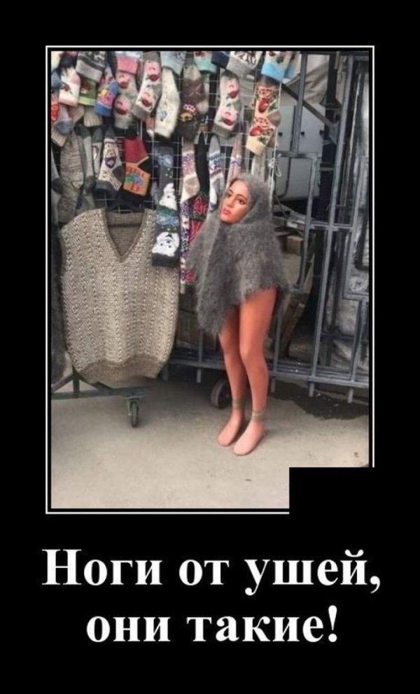 ноги от ушей