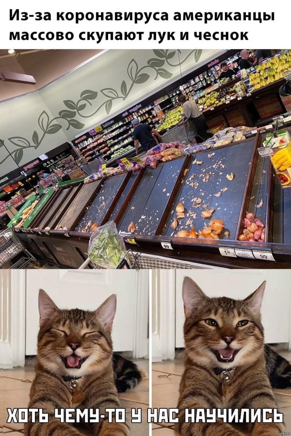 смешные прикольчики