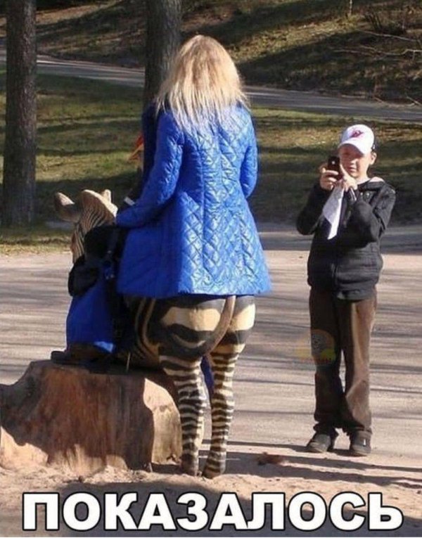 зад зебры
