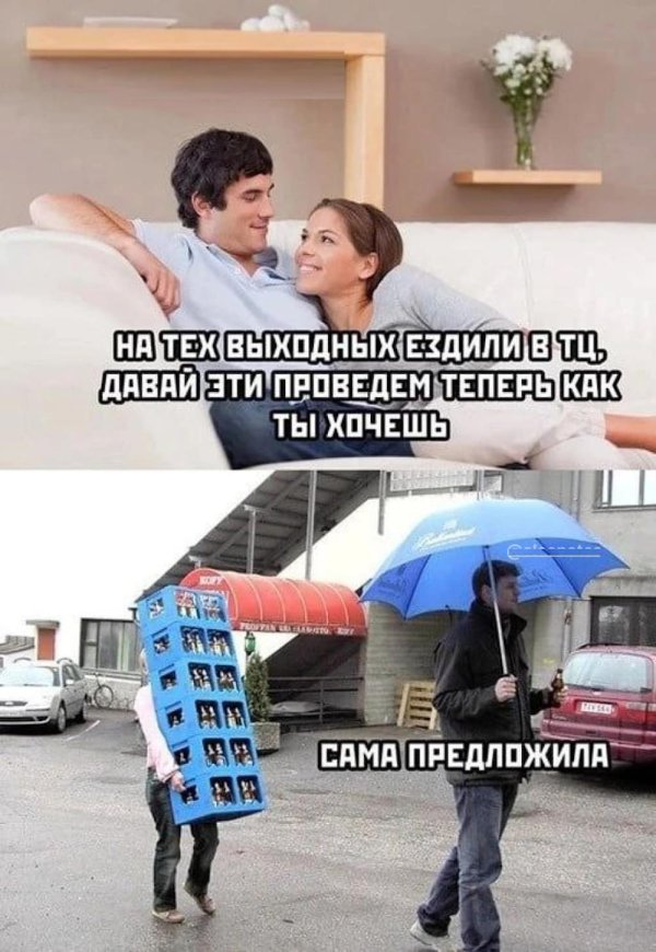 приколы новые