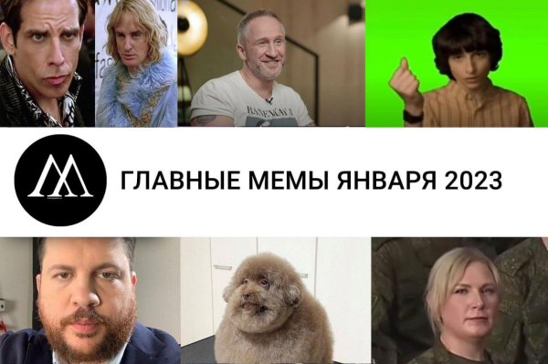известные мемы 2024