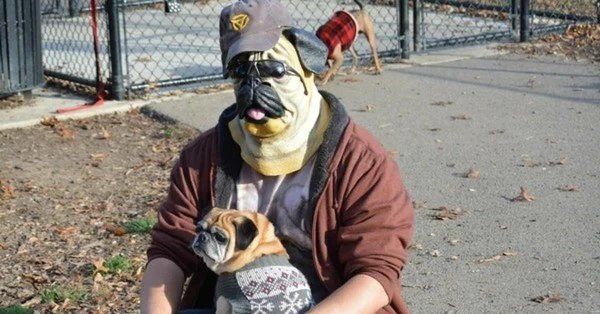 маска мопса