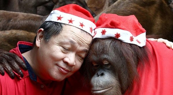 Актуальные