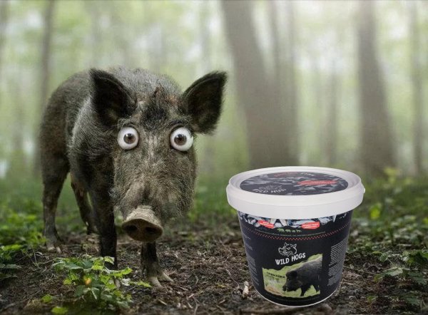 кабанчик смешной