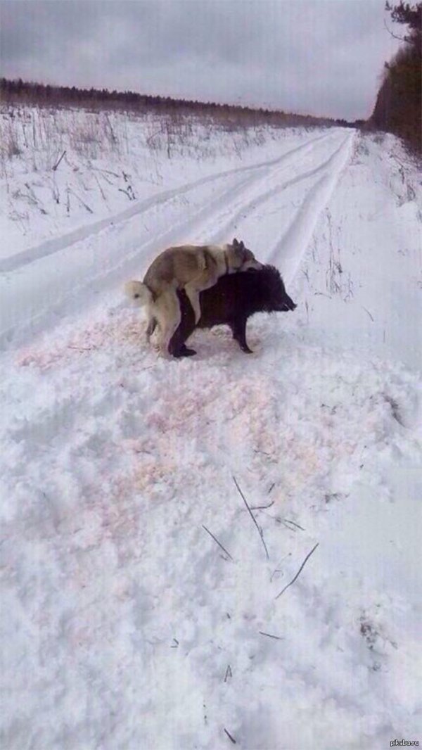 кончились патроны