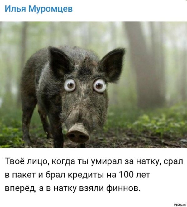 понедельник приколы