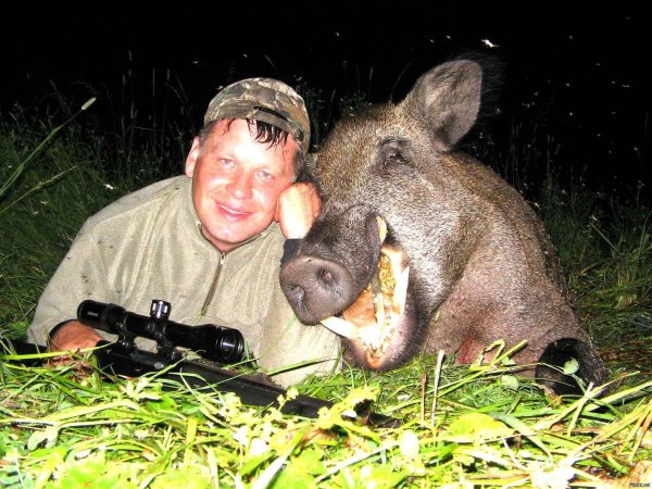 охота кабана охота кабанов