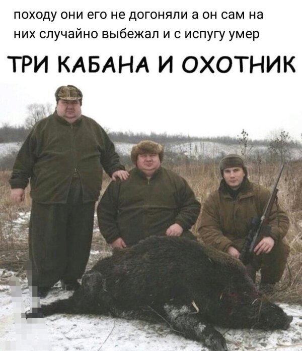 три кабана