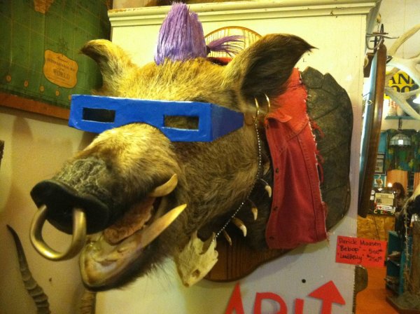 чучело кабаньей головы