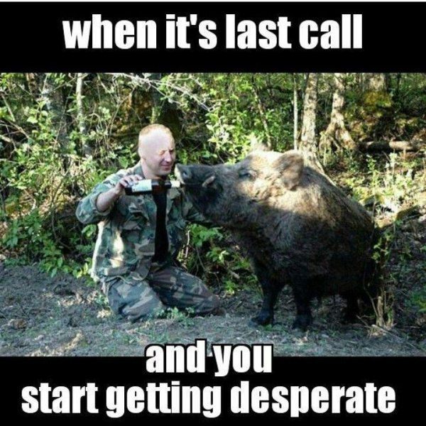 приколы на охоте