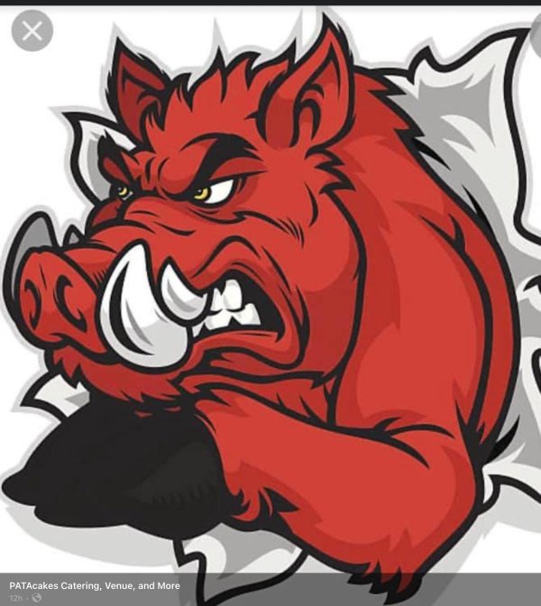 кабан вектор