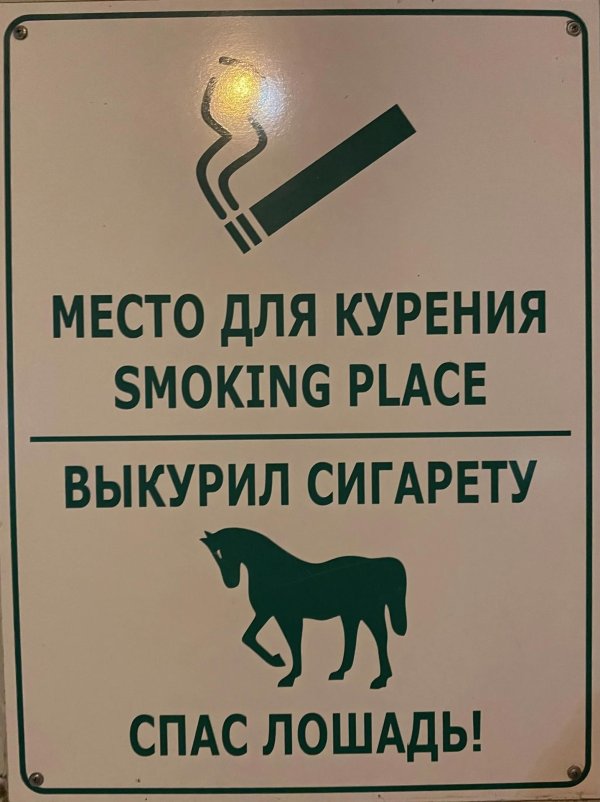 выкурил сигарету спас лошадь