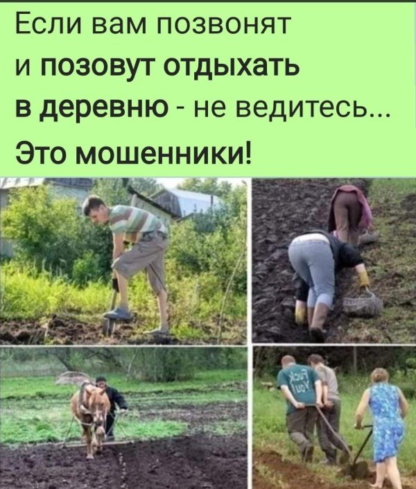 позовут отдыхать в деревню