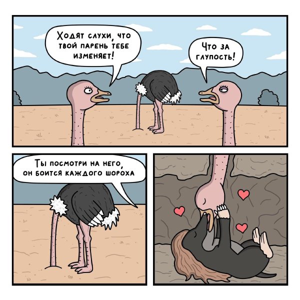 приколы про страусов