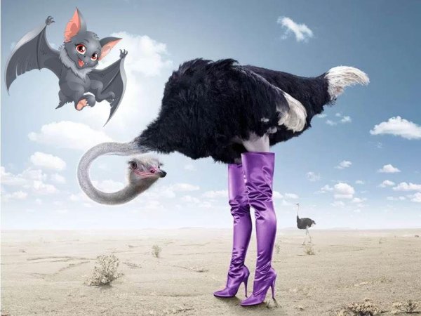 гламурные приколы