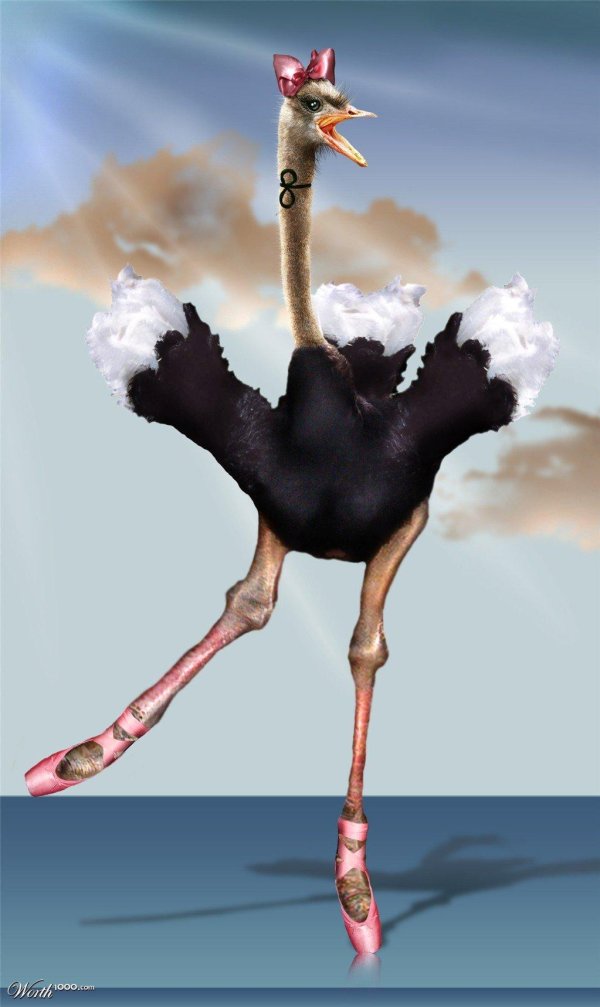 страус мультик