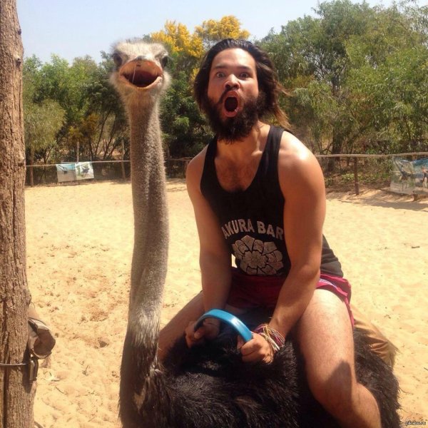 смешные моменты в жизни