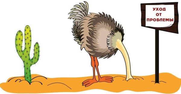 страус прячет голову