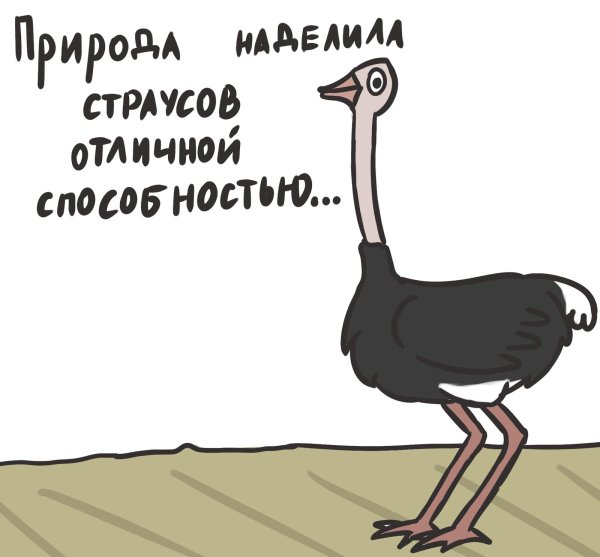страус рисунок