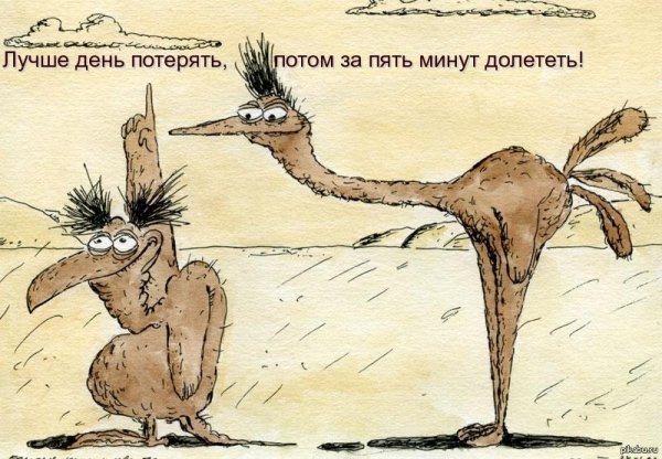 страус мультик