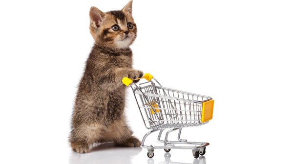 товары для животных