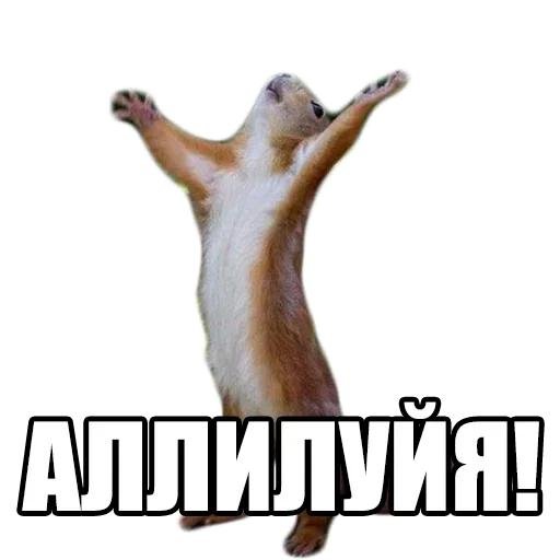 горы аллилуйя