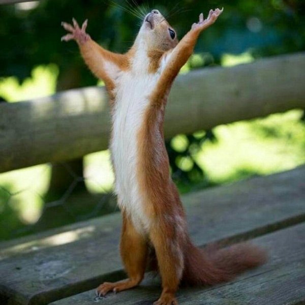 наконец то выходные