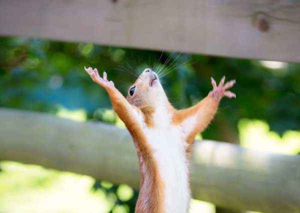 наконец то пятница