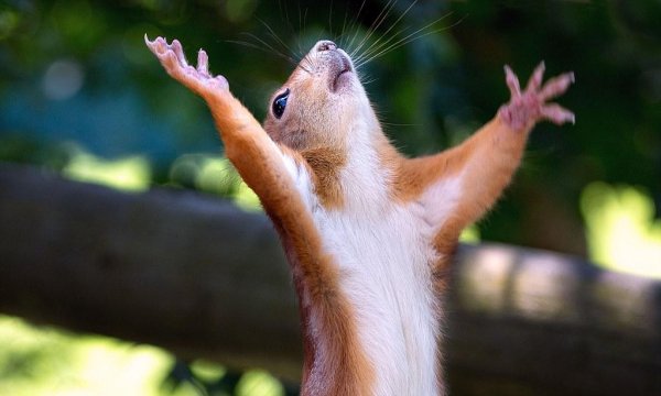 наконец то выходные