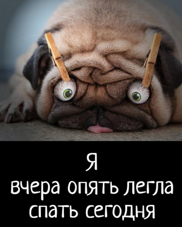 Всем спать