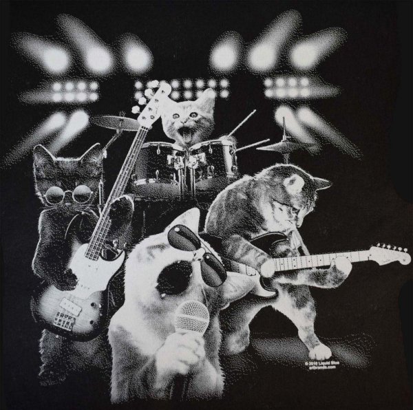 поющие котики