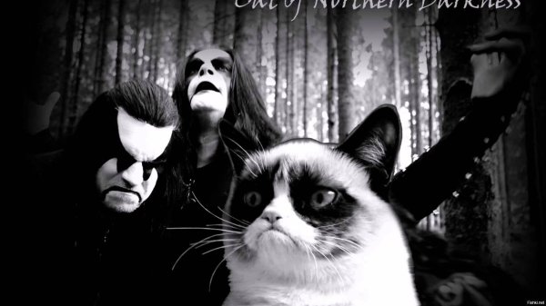 abbath immortal мемы