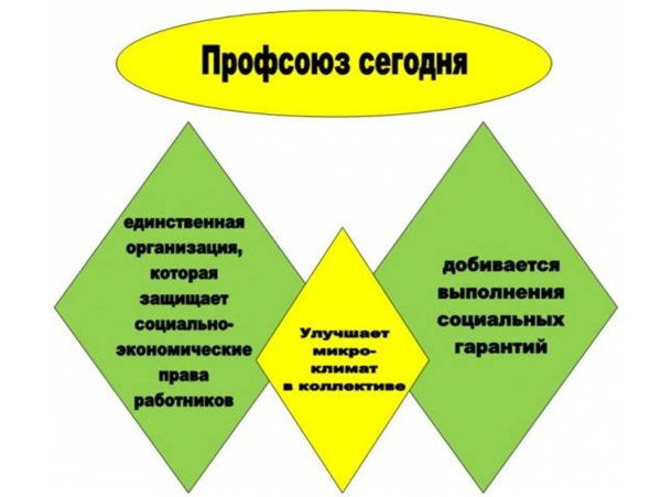 профсоюзная организация