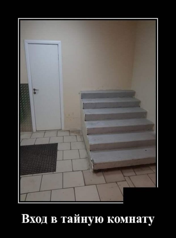 лестница демотиватор