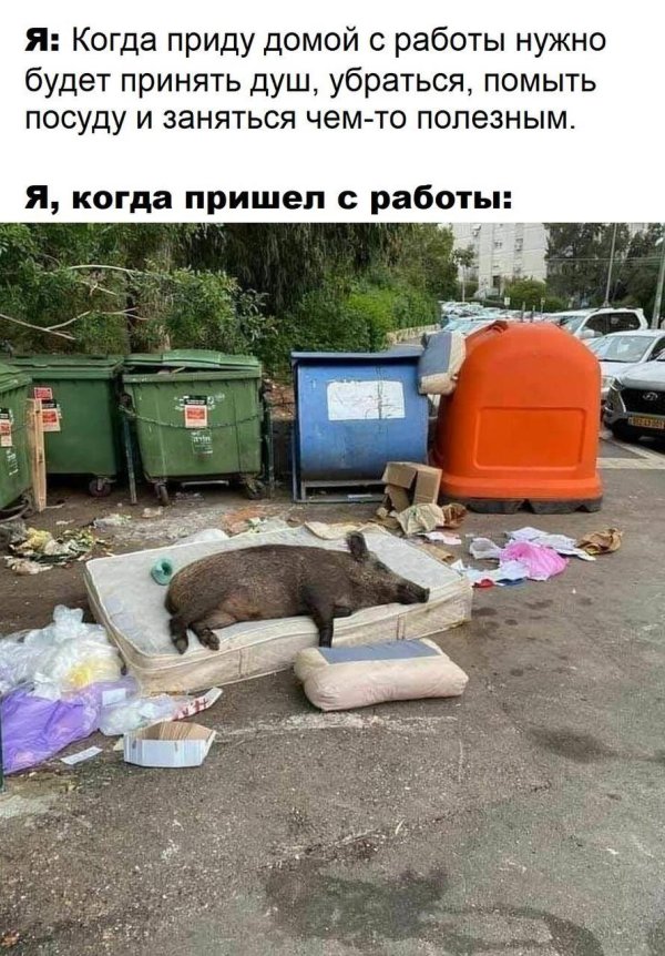приколы юмор
