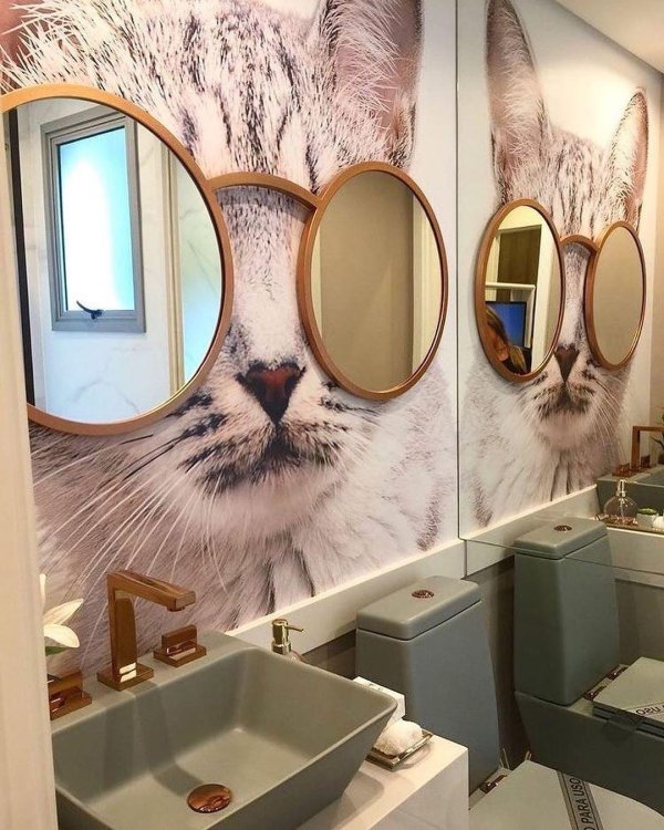 необычный декор туалета