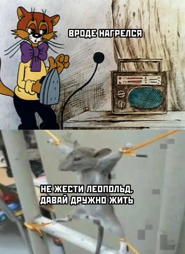 леопольд кот