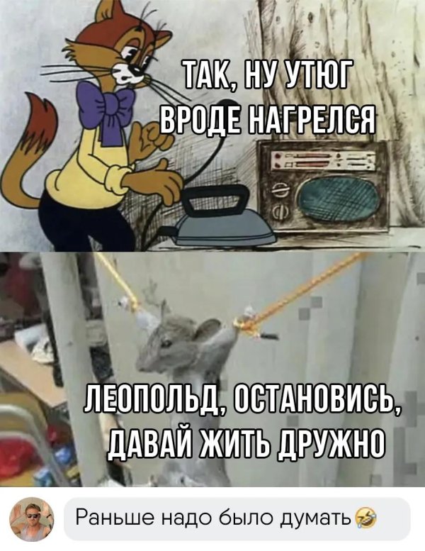 леопольд кот