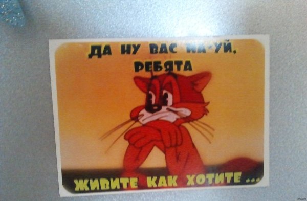 мультик кот леопольд