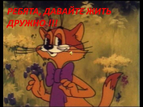 кот леопольд мультфильм